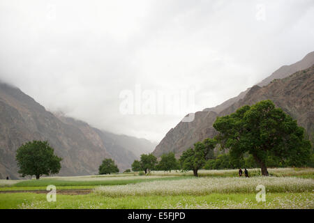 Turtuk est un petit village de la vallée de Nubra, près de la frontière avec le Pakistan Banque D'Images