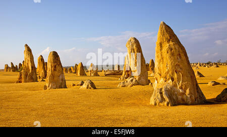 Les Pinnacles, sont des formations calcaires contenues dans le Parc National de Nambung, près de la ville de Cervantes dans l'ouest de l'Australie. Banque D'Images