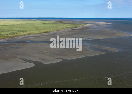 Mer des Wadden, vue du Mont Saint-Michel, Mont Saint-Michel, Departément Manche, Basse-Normandie, France Banque D'Images