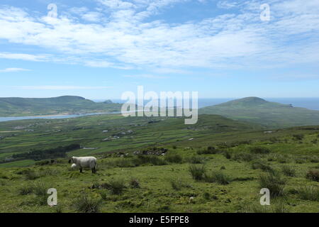 Une vue de la montagne Geokaun, Valentia Island, comté de Kerry dans le sud de l'Irlande. Banque D'Images