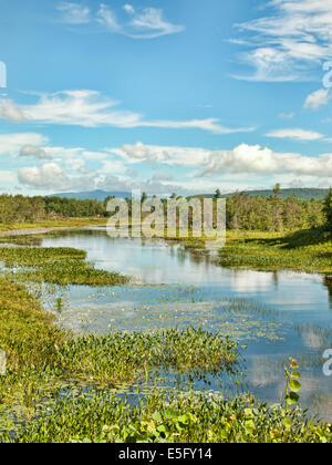 L'Adirondack State Park, à partir de la route 8 près de Oxbow Banque D'Images