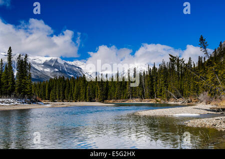 Rivière qui traverse les montagnes, Banff National Park Alberta Canada au printemps Banque D'Images