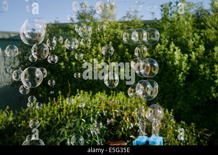 Des bulles de savon flottant dans l'air Banque D'Images