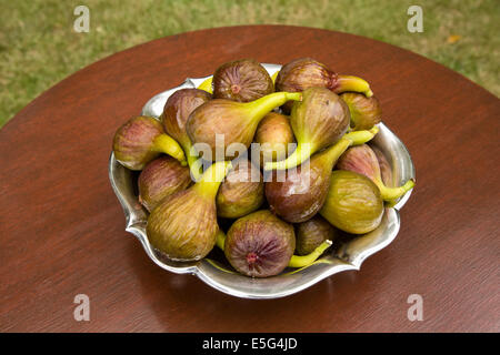 Figues sucrées maintenant récoltés dans mon jardin Banque D'Images