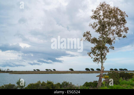 Étang de l'eau près de Posada, Sardaigne, Italie Banque D'Images