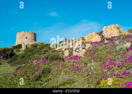 La tour espagnole de Santa Teresa di Gallura, Sardaigne, Italie Banque D'Images