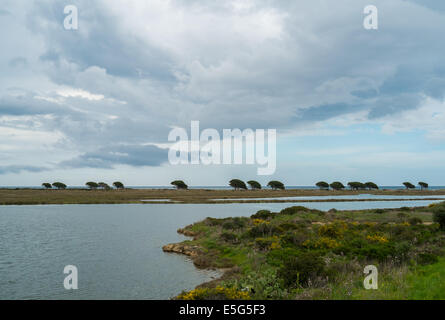 Étang de l'eau près de Posada, Sardaigne, Italie Banque D'Images