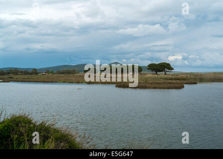 Étang de l'eau près de Posada, Sardaigne, Italie Banque D'Images