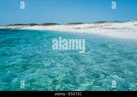 Dans l'eau d'un bleu transparent plage Is Aruttas, Cagliari, Sardaigne, Italie Banque D'Images