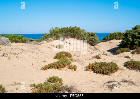 Beach dunes Piscinas en vert, de la côte ouest de la Sardaigne, Italie Banque D'Images