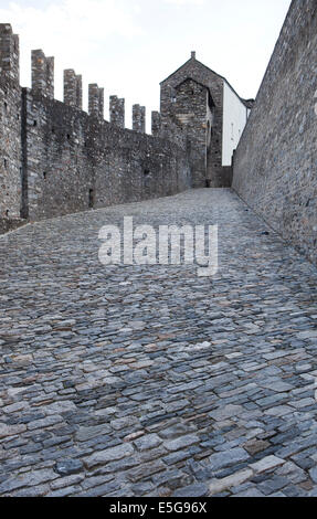 Château, Castelgrande, Bellinzona, Suisse (CTK Photo/Marketa Hofmanova) Banque D'Images