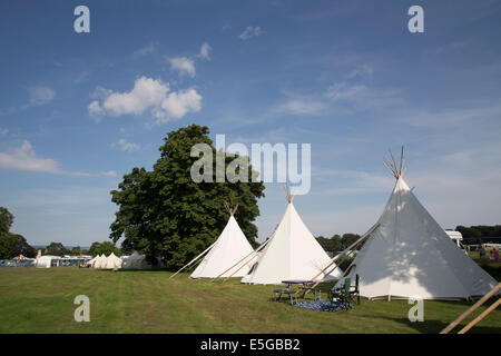 Terrain de camping tipi, camping, à Deer Shed festival. Glamping dans des tipis. Banque D'Images