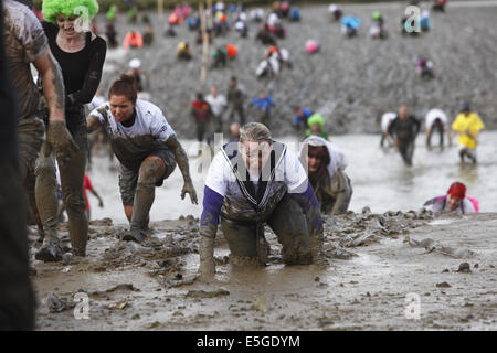 Le "fou" annuel excentrique Maldon Mud Race, tenue la fin du printemps/début de l'été selon les marées, à Maldon, Essex, Angleterre Banque D'Images