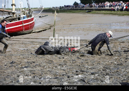 Le "fou" annuel excentrique Maldon Mud Race, tenue la fin du printemps/début de l'été selon les marées, à Maldon, Essex, Angleterre Banque D'Images