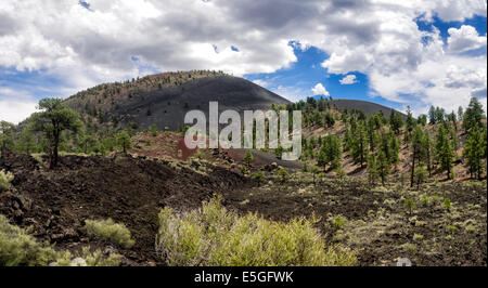 Sunset Crater Volcano National Monument, Arizona Banque D'Images