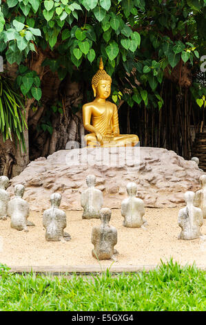 Sous l'arbre Bo Bouddha Wat Phan-Tao au temple à Chiang Mai, Thaïlande Banque D'Images