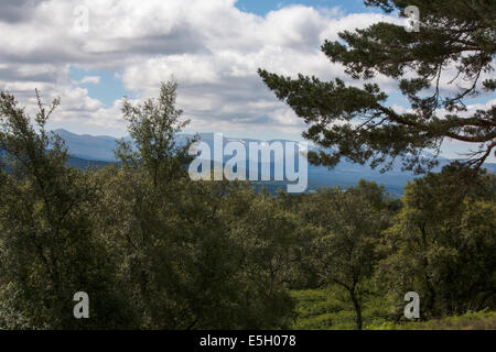 Les montagnes de Cairngorm vu d'un point de vue au-dessus de Grantown-on-Spey près d'Aviemore Ecosse Speyside Banque D'Images