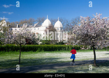 Le cercle extérieur de la Regent's Park au printemps avec female jogger runner London England UK Banque D'Images