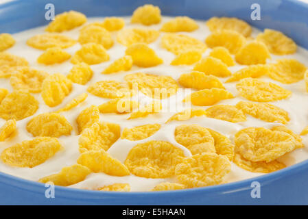 Les flocons de maïs et le lait dans un bol Banque D'Images