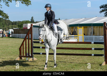 Poneys en compétition dans un concours de saut d'obstacles au cours de la 'Nouvelle Forêt & Hampshire County Show 2014'. Banque D'Images