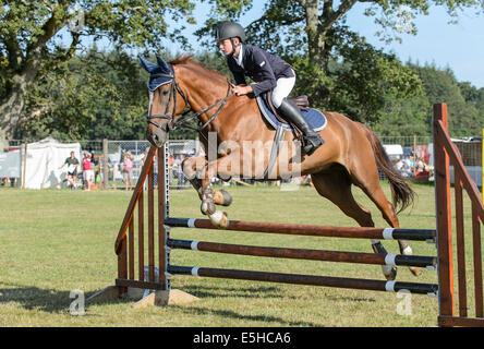 Poneys en compétition dans un concours de saut d'obstacles au cours de la 'Nouvelle Forêt & Hampshire County Show 2014'. Banque D'Images