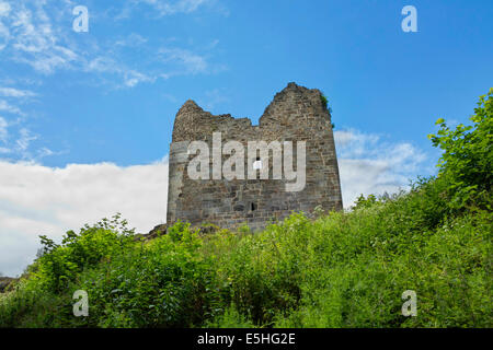 Ruines du château Primda - l'un des plus anciens châteaux en pierre en République Tchèque Banque D'Images