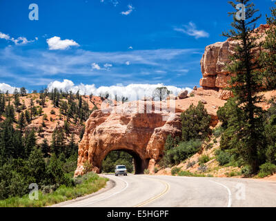 Arc rouge road tunnel sur la façon de Bryce Canyon National Park, Utah, USA Banque D'Images