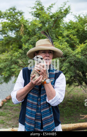 Dame avec meerkat (Suricata suricatta) Nambiti Réserver, Kwa-Zulu Natal, Afrique du Sud Banque D'Images