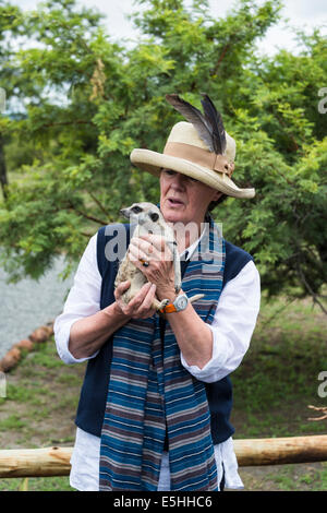 Dame avec meerkat (Suricata suricatta), Nambiti Réserver, Kwa-Zulu Natal, Afrique du Sud Banque D'Images