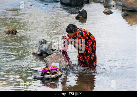 Femme indienne pour laver le linge dans une rivière, Tamil Nadu, Inde Banque D'Images