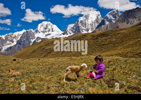 Une fille de l'Indiens Quechua assis avec un agneau nouveau-né sur une prairie en face de montagnes couvertes de neige Banque D'Images