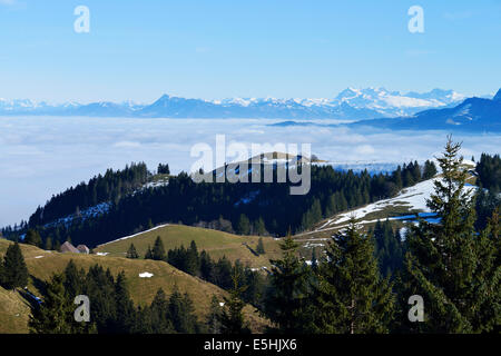 Vue du Mt Napf à travers une mer de ​​Fog dans les Alpes suisses ou des Alpes centrales avec Mt Rigi, Canton de Berne, Suisse Banque D'Images