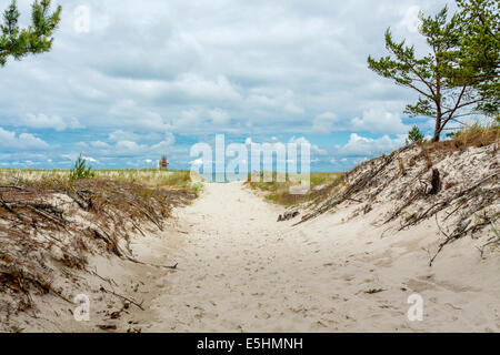 Entrée de plage et des dunes de sable à Bialogora, Pologne Banque D'Images