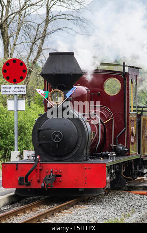 Fer Welsh Highland visiter locomotive à vapeur "Fidji" Banque D'Images