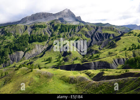 Paysage d'une colline herbeuse avec ravins sombres dans le parc national de Mercantour.Col des champs, Alpes-de-haute-Provence et Alpes-Maritimes, France. Banque D'Images