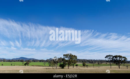 Une banque de Cirrus nuages au-dessus de terres agricoles à Tamworth NSW Australie Banque D'Images