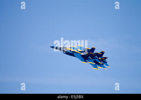 Seattle, Washington, US. 31 juillet, 2014. Blue Angels de la Marine américaine F/A-18 Hornet pratique, Seafair, le lac Washington, Seattle, Washington, le 31 juillet 2014 Crédit : Marilyn Dunstan/Alamy Live News Banque D'Images