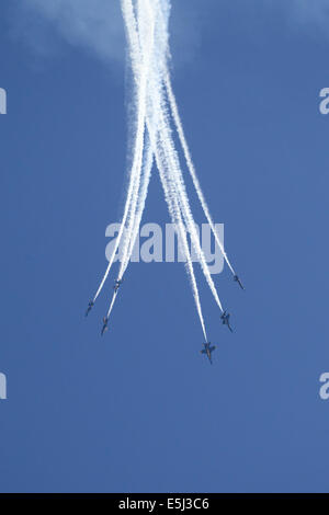 Seattle, Washington, US. 31 juillet, 2014. Blue Angels de la Marine américaine F/A-18 Hornet pratique, Seafair, le lac Washington, Seattle, Washington, le 31 juillet 2014 Crédit : Marilyn Dunstan/Alamy Live News Banque D'Images