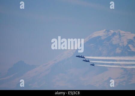 Seattle, Washington, US. 31 juillet, 2014. Blue Angels de la Marine américaine F/A-18 Hornet Seafair pratique, le lac Washington, Seattle, Washington, Mt Rainier dans l'arrière-plan, le 31 juillet 2014 Crédit : Marilyn Dunstan/Alamy Live News Banque D'Images