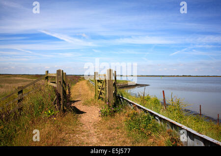 Une vue sur les angles Way sentier tournant par Breydon Water, près de Great Yarmouth, Norfolk, Angleterre, Royaume-Uni. Banque D'Images