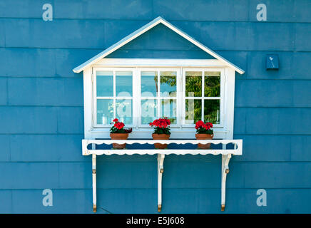 Détail d'une maison en bois bleu avec des fleurs rouges dans la ville de Smögen, Bohuslän, Västra Götaland Iän, Suède, Scandinavie. Banque D'Images