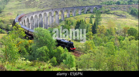 Le train à vapeur Jacobite crossing viaduc de Glenfinnan, Ecosse, Royaume-Uni Banque D'Images