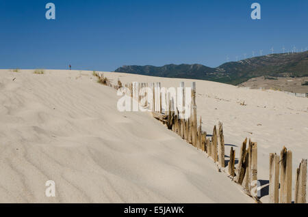 Les dunes de sable de Valdevaqueros, Punta Paloma, plage de Tarifa. Costa de la Luz, Espagne. Banque D'Images