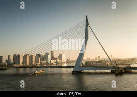 Pays-bas, Rotterdam, pont Erasmus. Le lever du soleil. Vue d'un navire de croisière MS Rotterdam. Inland barge tanker Banque D'Images