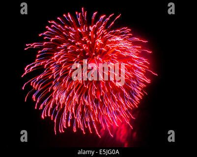 Feu d’artifice rose Banque D'Images
