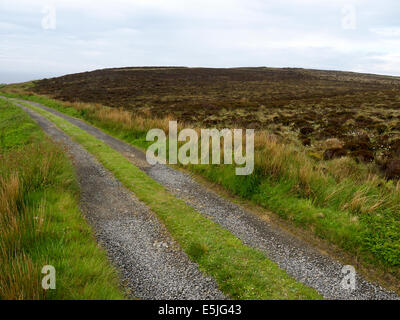 Hobbister réserve RSPB, Orkney, Juin 2014 Banque D'Images