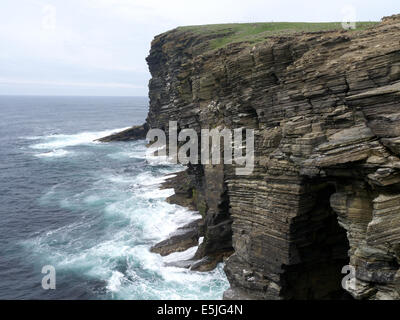 Marwick Head continentale Orcades, Juin 2014 Banque D'Images