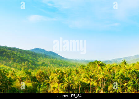 Tropic magnifique paysage, high angle view, Thaïlande Banque D'Images