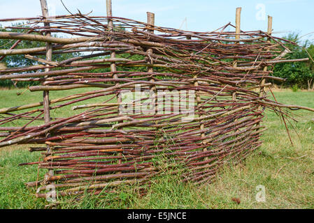 Wattle escrime à l'Âge de Bronze Fen Drapeau Fenland Centre Cambridgeshire UK Banque D'Images