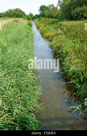 Mustdyke le fossé de drainage au centre de l'âge du Bronze Fen Drapeau Cambridgeshire Fenland UK Banque D'Images